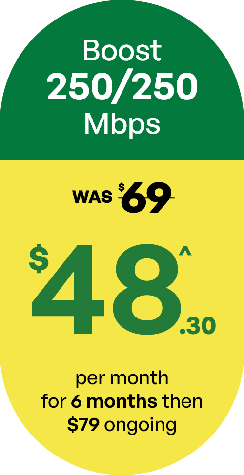 Boost plan - 250/250Mbps