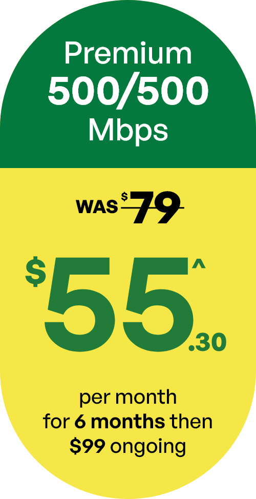 Premium plan - 500/500Mbps