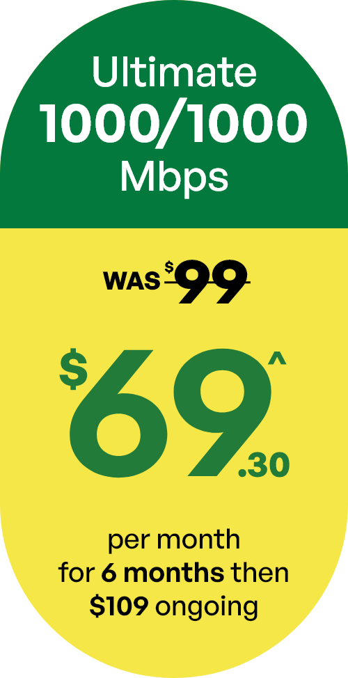 Ultimate plan - 1000/1000Mbps