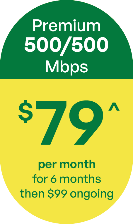 Premium plan - 500/500Mbps $79 per month