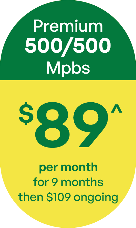 Premium plan - 500/500Mbps $89 per month for 12 months, then $119 ongoing