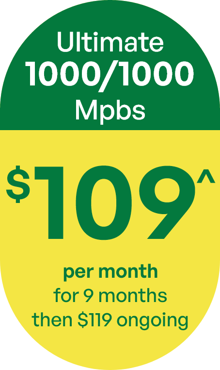 Ultimate plan - 1000/1000Mbps $119 per month for 12 months, then $149 ongoing